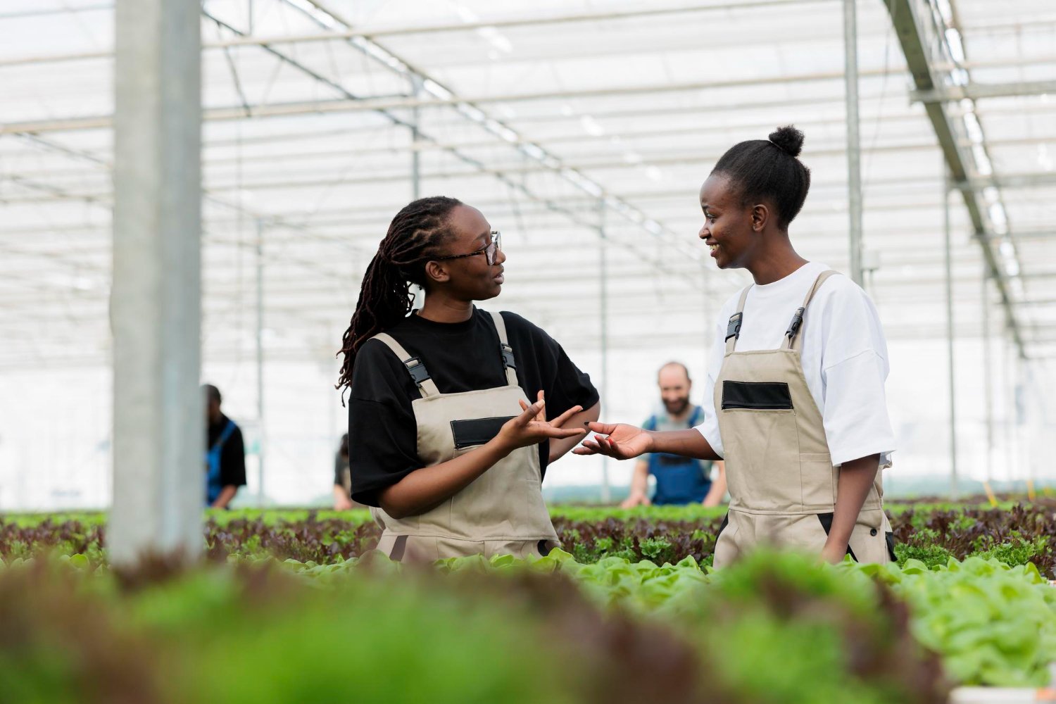 Diploma in Agriculture in Kenya: Requirements, Colleges, Fees & Career Guide (2026)