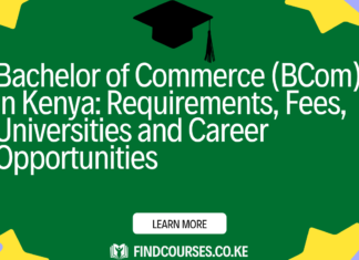 Bachelor of Commerce (BCom) in Kenya: Requirements, Fees, Universities and Career Opportunities