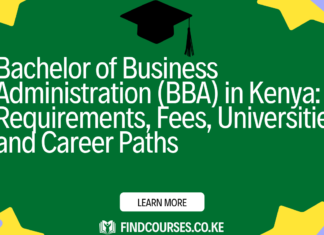 Bachelor of Business Administration (BBA) in Kenya: Requirements, Fees, Universities and Career Paths
