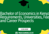Bachelor of Economics in Kenya: Requirements, Universities, Fees, and Career Prospects