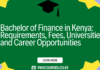 Bachelor of Finance in Kenya: Requirements, Fees, Universities and Career Opportunities