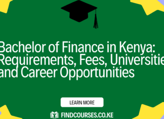 Bachelor of Finance in Kenya: Requirements, Fees, Universities and Career Opportunities