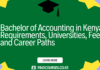 Bachelor of Accounting in Kenya: Requirements, Universities, Fees, and Career Paths