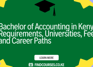 Bachelor of Accounting in Kenya: Requirements, Universities, Fees, and Career Paths