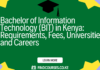 Bachelor of Information Technology (BIT) in Kenya: Requirements, Fees, Universities and Careers