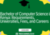 Bachelor of Computer Science in Kenya: Requirements, Universities, Fees, and Careers