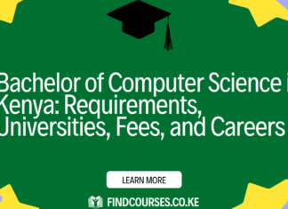 Bachelor of Computer Science in Kenya: Requirements, Universities, Fees, and Careers
