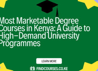 Most Marketable Degree Courses in Kenya: A 2026 Guide to High-Demand University Programmes