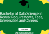Bachelor of Data Science in Kenya: Requirements, Fees, Universities and Careers