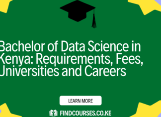 Bachelor of Data Science in Kenya: Requirements, Fees, Universities and Careers