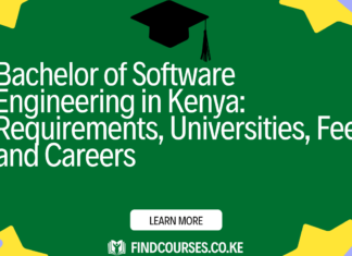 Bachelor of Software Engineering in Kenya: Requirements, Universities, Fees, and Careers
