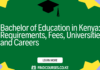 Bachelor of Education in Kenya: Requirements, Fees, Universities and Careers