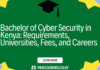 Bachelor of Cyber Security in Kenya: Requirements, Universities, Fees, and Careers