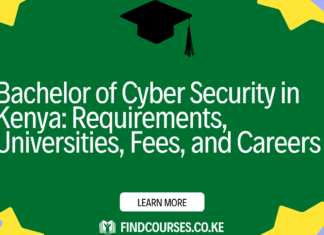 Bachelor of Cyber Security in Kenya: Requirements, Universities, Fees, and Careers