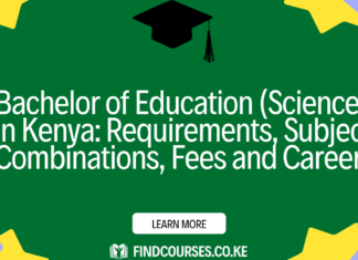 Bachelor of Education (Science) in Kenya: Requirements, Subject Combinations, Fees and Careers