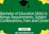 Bachelor of Education (Arts) in Kenya: Requirements, Subject Combinations, Fees and Careers