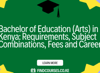 Bachelor of Education (Arts) in Kenya: Requirements, Subject Combinations, Fees and Careers