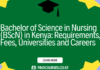 Bachelor of Science in Nursing (BScN) in Kenya: Requirements, Fees, Universities and Careers