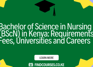 Bachelor of Science in Nursing (BScN) in Kenya: Requirements, Fees, Universities and Careers