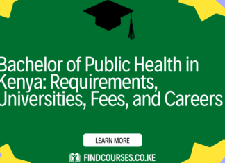Bachelor of Public Health in Kenya: Requirements, Universities, Fees, and Careers