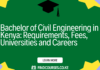 Bachelor of Civil Engineering in Kenya: Requirements, Fees, Universities and Careers