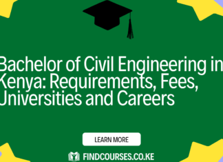 Bachelor of Civil Engineering in Kenya: Requirements, Fees, Universities and Careers