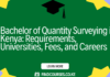 Bachelor of Quantity Surveying in Kenya: Requirements, Universities, Fees, and Careers (2026 Guide)