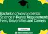 Bachelor of Environmental Science in Kenya: Requirements, Fees, Universities and Careers