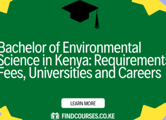 Bachelor of Environmental Science in Kenya: Requirements, Fees, Universities and Careers