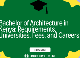 Bachelor of Architecture in Kenya: Requirements, Universities, Fees, and Careers