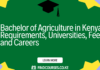 Bachelor of Agriculture in Kenya: Requirements, Universities, Fees, and Careers (2026 Guide)