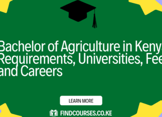 Bachelor of Agriculture in Kenya: Requirements, Universities, Fees, and Careers (2026 Guide)