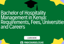 Bachelor of Hospitality Management in Kenya: Requirements, Fees, Universities and Careers