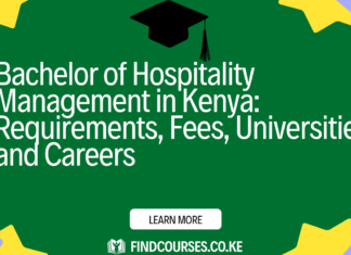 Bachelor of Hospitality Management in Kenya: Requirements, Fees, Universities and Careers