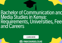 Bachelor of Communication and Media Studies in Kenya: Requirements, Universities, Fees, and Careers (2026 Guide)