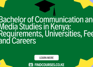 Bachelor of Communication and Media Studies in Kenya: Requirements, Universities, Fees, and Careers (2026 Guide)