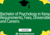 Bachelor of Psychology in Kenya: Requirements, Fees, Universities and Careers