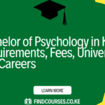 Bachelor of Psychology in Kenya: Requirements, Fees, Universities and Careers