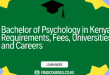 Bachelor of Psychology in Kenya: Requirements, Fees, Universities and Careers